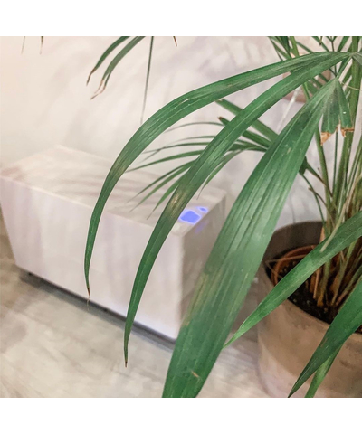 Увлажнитель воздуха Stadler Form Oskar big Original white, изображение 9