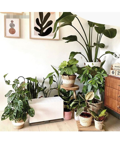 Увлажнитель воздуха Stadler Form Oskar big Original white, изображение 20