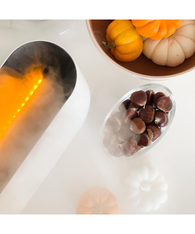 Увлажнитель воздуха ультразвуковой Stadler Form, Ben white, изображение 11