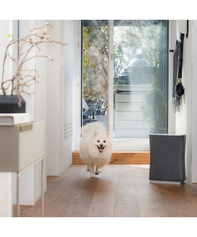 Очиститель воздуха Stadler Form Roger black, изображение 20