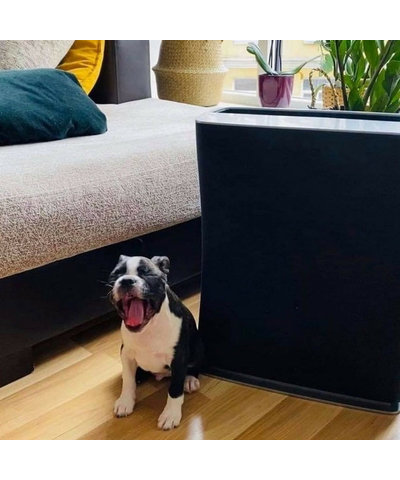 Очиститель воздуха Stadler Form Roger black, изображение 26