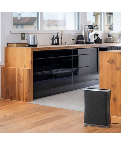 Очиститель воздуха Stadler Form Roger black, изображение 25