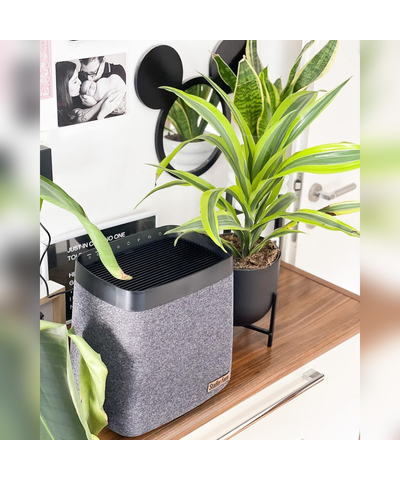 Увлажнитель воздуха традиционный (без налета и накипи) Stadler Form Karl K-004, изображение 14