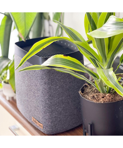 Увлажнитель воздуха традиционный (без налета и накипи) Stadler Form Karl K-004, изображение 20