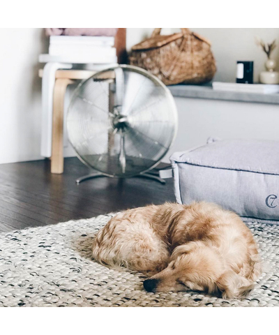 Напольный вентилятор Stadler Form Charly NEW floor, изображение 9