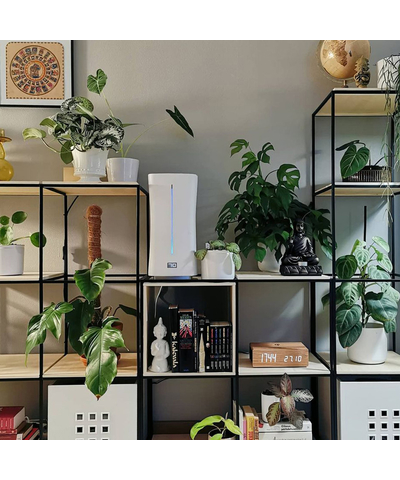 Увлажнитель воздуха ультразвуковой Stadler Form Eva WiFi Original white, изображение 19