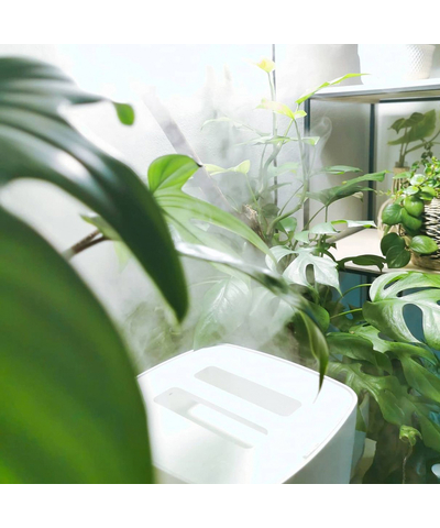 Увлажнитель воздуха ультразвуковой Stadler Form Eva WiFi Original white, изображение 18