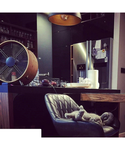 Вентилятор универсальный Stadler Form Otto bamboo, изображение 17