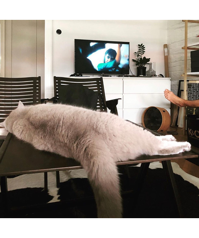 Вентилятор универсальный Stadler Form Otto bamboo, изображение 15