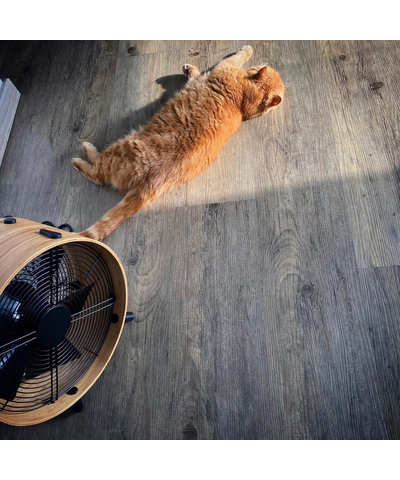 Вентилятор универсальный Stadler Form Otto bamboo, изображение 22