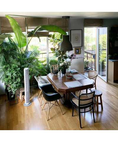 Колонный вентилятор Stadler Form Peter white, изображение 14