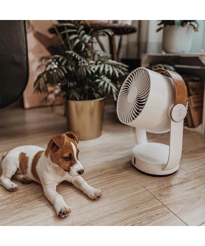 Вентилятор настольный Stadler Form Leo, L-035, изображение 21