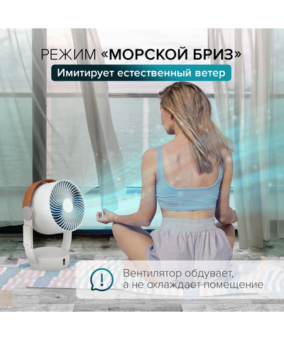 Вентилятор настольный Stadler Form Leo, L-035, изображение 16