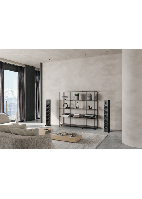Напольная, активная акустическая система PIEGA Premium 501 Wireless Gen 2 AB, изображение 5